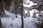 Part of the interpretive trail with frozen Harmon Lake behind