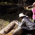 Photographing wildflowers at Harmon Interpretive Forest. Photo: Alan Burger