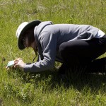 Getting down low to photograph a Chocolate Lily. Photo: Alan Burger