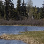Secret Lake on the Harmon Interpretive Forest trail. Photo: Alan Burger
