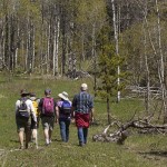 Nicola Naturalists along the Harmon Interpretive Forest trail. Photo: © Alan Burger