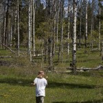 A young NNS member along the Harmon forest trail. Photo: Alan Burger