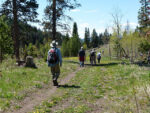 Naturalists on Harmon trail