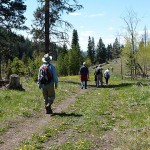 Naturalists on Harmon trail