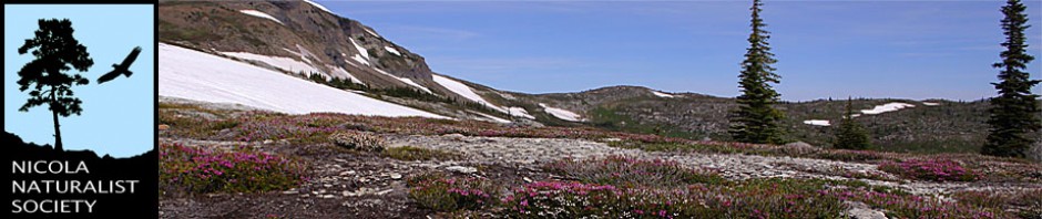 Nicola Naturalist Society