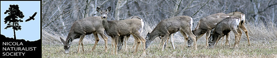 Nicola Naturalist Society